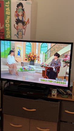 いらっしゃーい！の記事動画