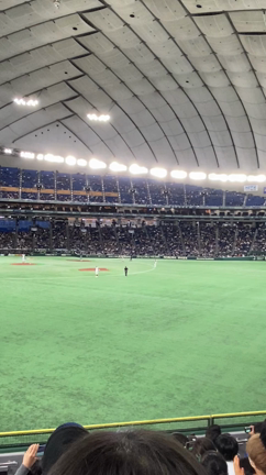 WBC準々決勝の記事動画