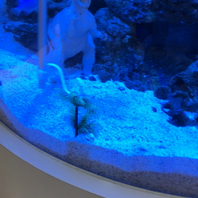 縄張りを荒らすんじゃない！！の巻。の画像