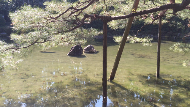 平安神宮あたり、散歩。。。の記事動画