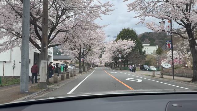 鬼怒川温泉で見た桜とSL大樹の記事動画