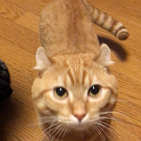 おやつちょーだい♪の画像