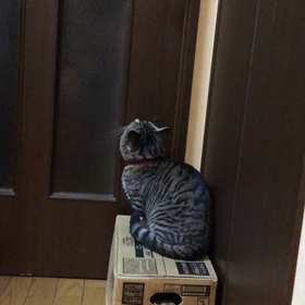 お利口さんですね♪の画像