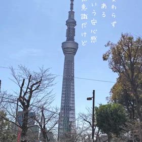 2024/03/28の画像