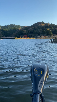 自分自身の中の愛を見つめる旅、水の中にある不思議な神社。の記事動画