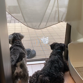 ビニールの画像