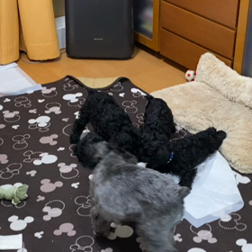 ソル、お母さんになる 27の画像