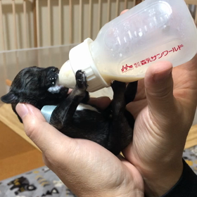 ソル、お母さんになる 12の画像
