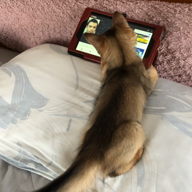 投資のYouTubeを観るの画像