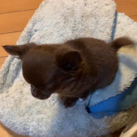 2022/01/20の画像
