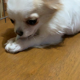 2021/02/07の画像