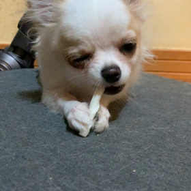 2020/11/21の画像