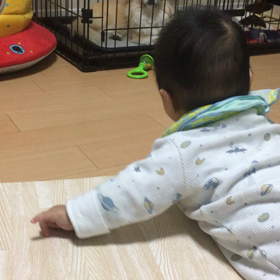 動じないの画像