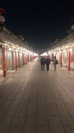 2020年に入ってから2019年を振り返るの記事動画