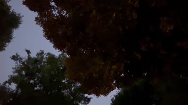 天の川によせて〜七夕イベント『星に願いを』舞い結びましたの記事動画