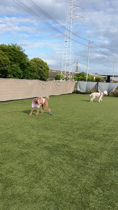 金曜日は幼馴染でロサフィールドの記事動画
