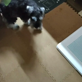 怒られちゃったの画像