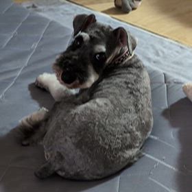 さんぱつの画像