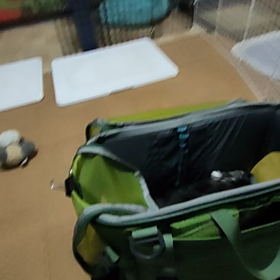 おやつのチカラ　ミニチュアシュナウザーの画像