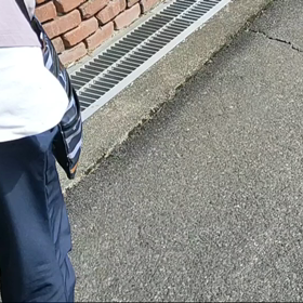 ミニチュアシュナウザー　初散歩の画像