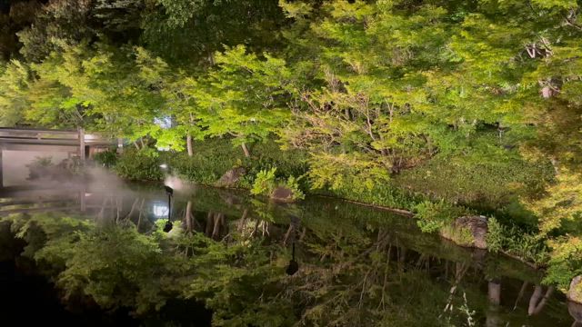 自然の方が癒されるの記事動画
