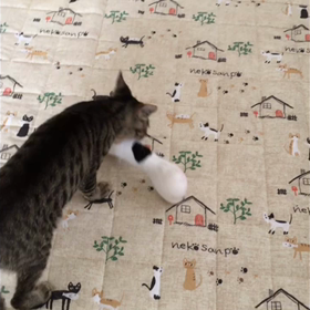 新しいおもちゃの画像