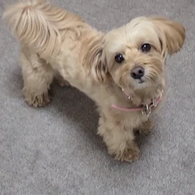 はるが大好きなことの画像