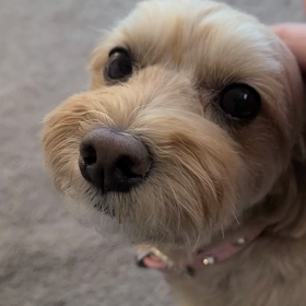 月曜日のはるの画像