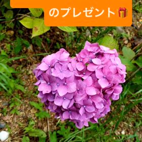 大好きなあなたに贈る言葉の画像