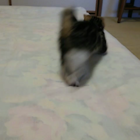 そら君大はしゃぎの画像