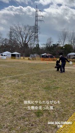 あたふた動画の記事動画