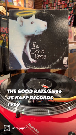 【今日のレコード】THE GOOD RATS/Sameの記事動画