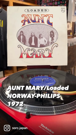 【今日のレコード】AUNT MARY/Loadedの記事動画