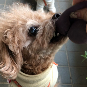 あなたのおすすめの動画を教えての画像