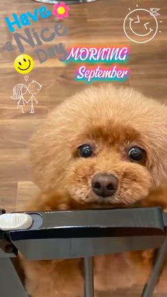 美味しいメロンキュン♥️の記事動画