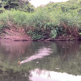 トップウォーター動画を撮りました④の画像