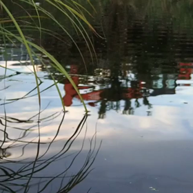 カワードポップのアクション動画の画像