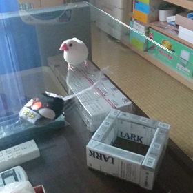 御守り。の画像