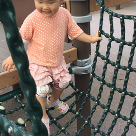 2016/09/11の画像