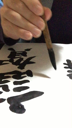 【動画】謹賀新年！2016！の記事動画