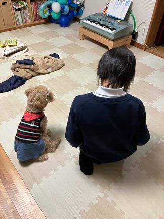 生徒さんの癒し時間にもなっていますの記事動画