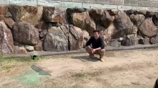 おおい大輔！の記事動画