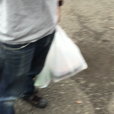 秋ですなーの記事動画
