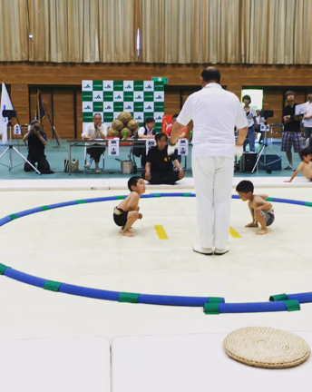 わんぱく相撲の記事動画