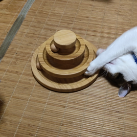 ももさんはやはり口内炎のサムネイル画像