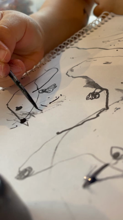 本当に鳥の羽で書いてみた！の記事動画