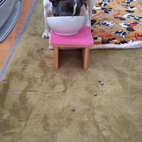 食べないフードは飛ばすの画像