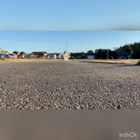 定期検査R4.1の画像
