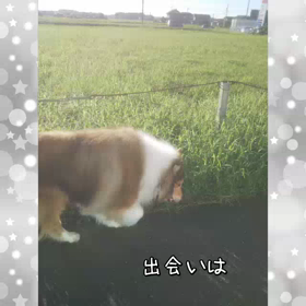 １歳になりました。の画像