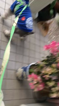 初めての記事動画